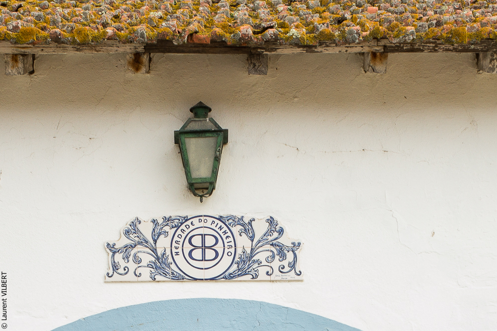 Herdade do Pinheiro 20191112-0446