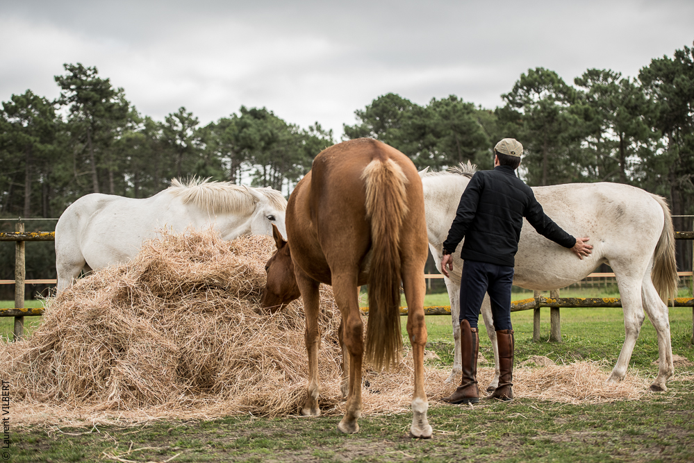 Herdade do Pinheiro 20191112-0525