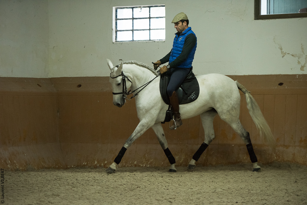 Herdade do Pinheiro 20191112-0668