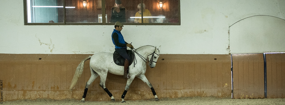 Herdade do Pinheiro 20191112-0682