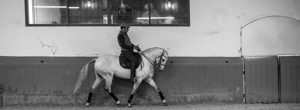 Herdade do Pinheiro 20191112-0682