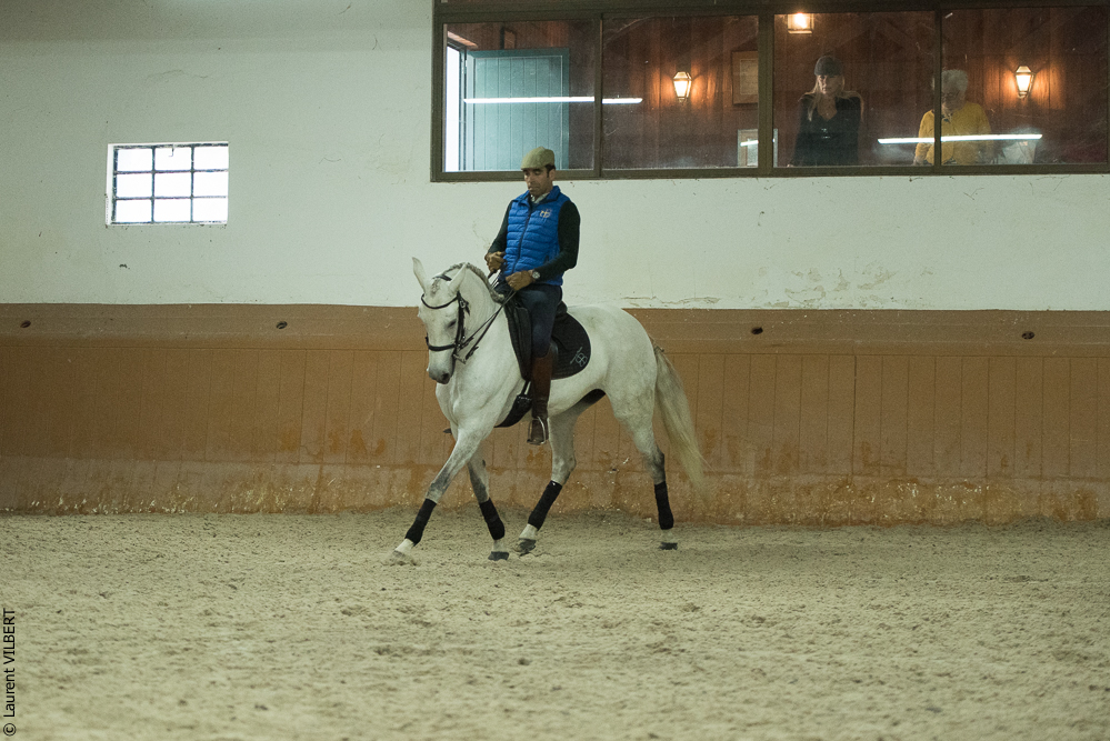 Herdade do Pinheiro 20191112-0697