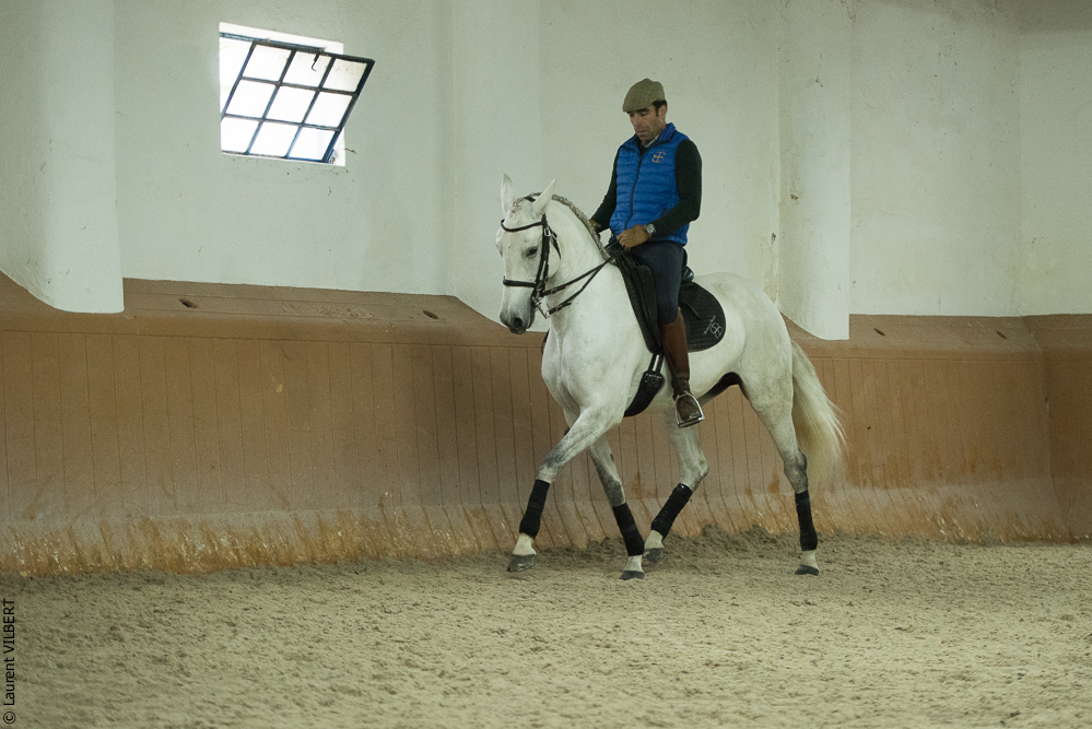 Herdade do Pinheiro 20191112-0715