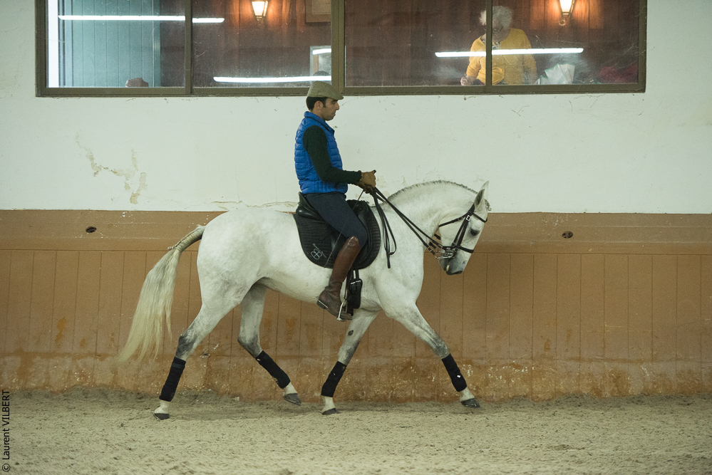 Herdade do Pinheiro 20191112-0734