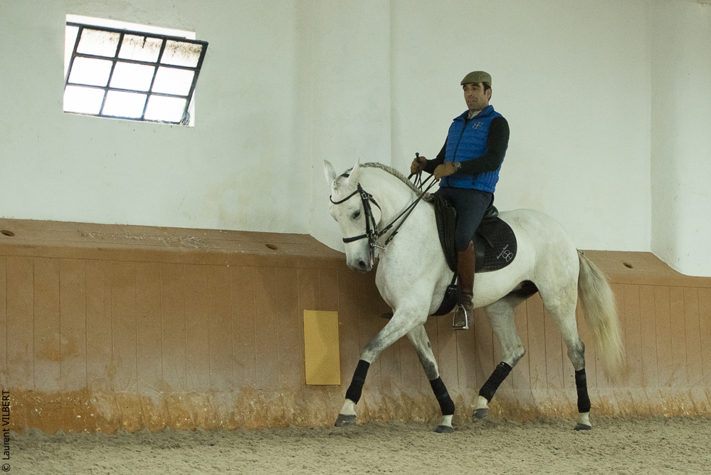 Herdade do Pinheiro 20191112-0741