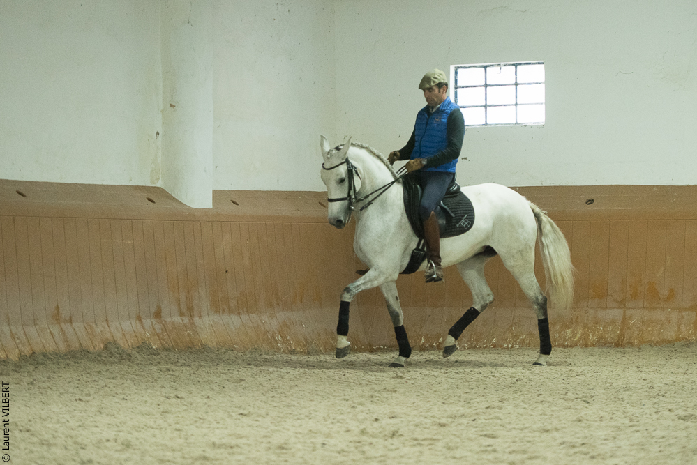 Herdade do Pinheiro 20191112-0893