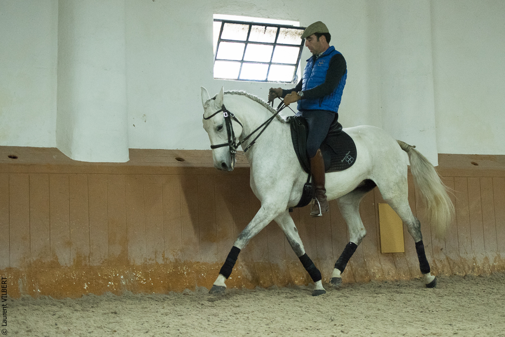 Herdade do Pinheiro 20191112-0900