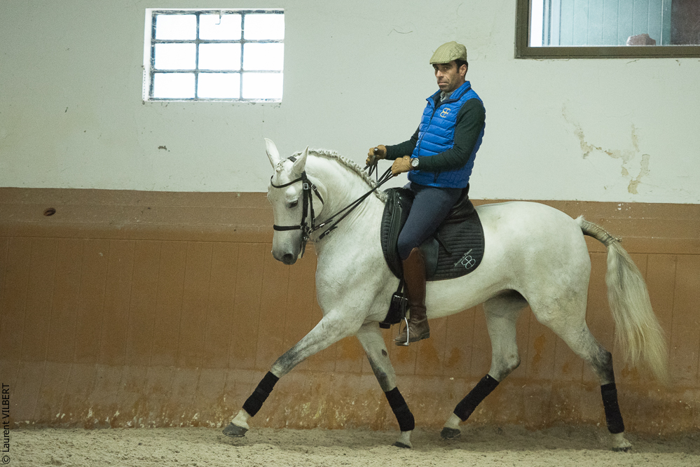 Herdade do Pinheiro 20191112-0906