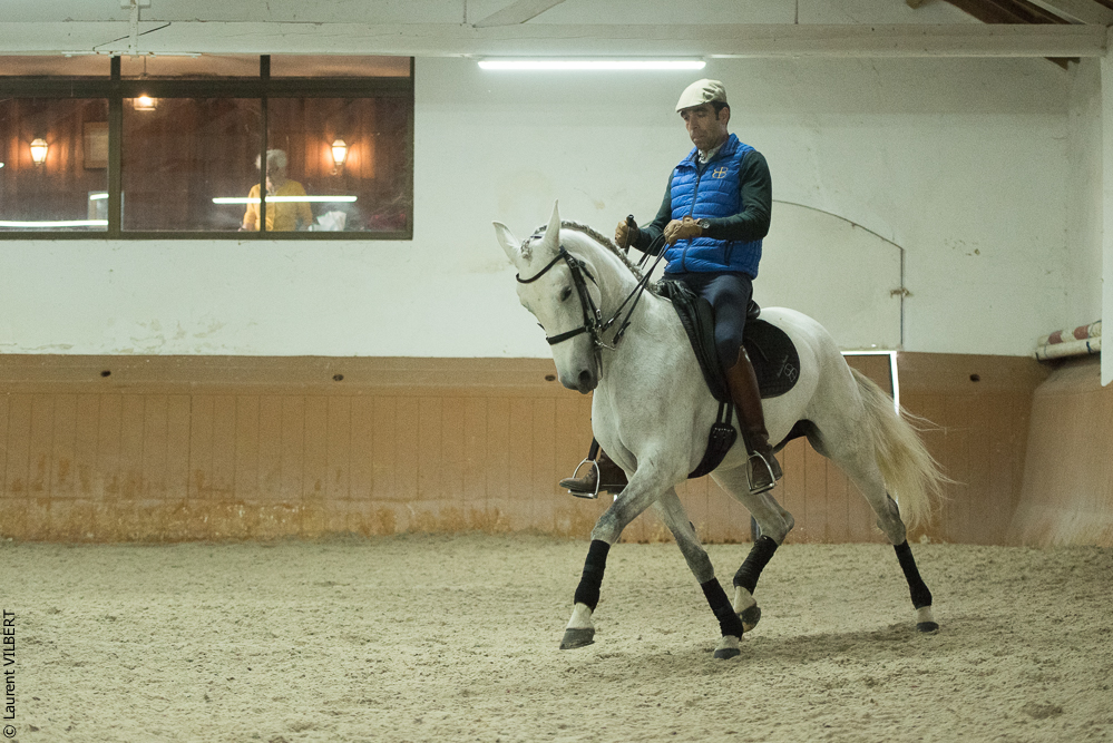 Herdade do Pinheiro 20191112-0916