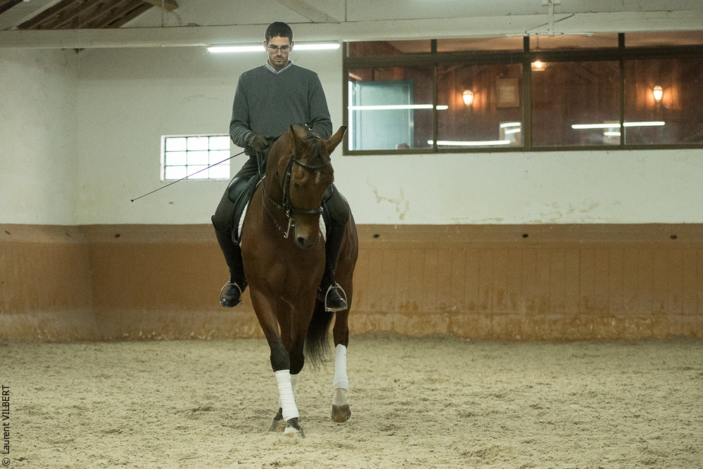 Herdade do Pinheiro 20191112-1094