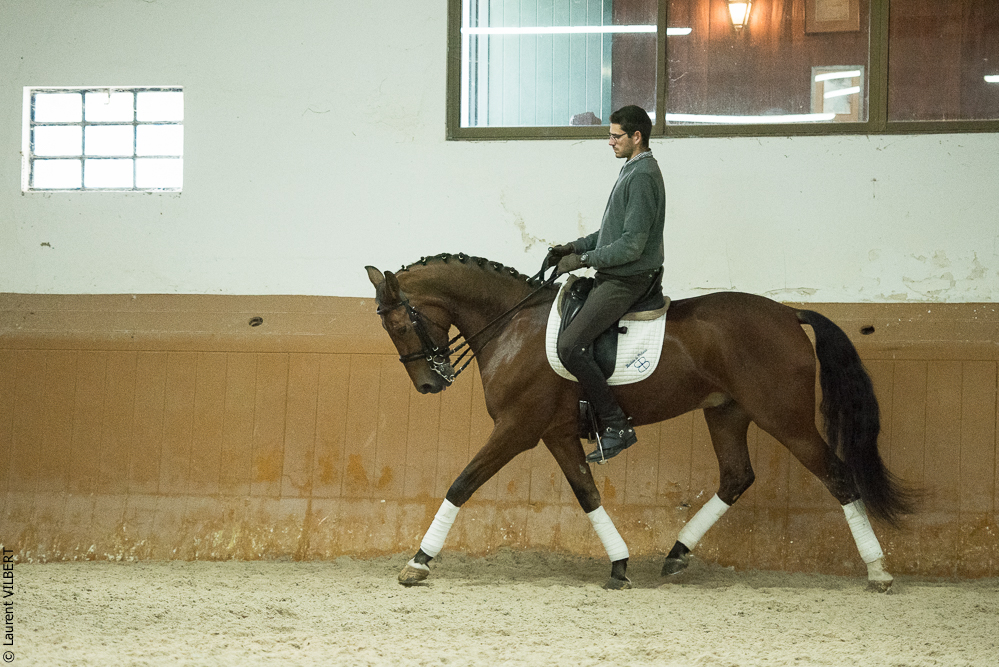 Herdade do Pinheiro 20191112-1132