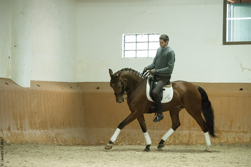 Herdade do Pinheiro 20191112-1138