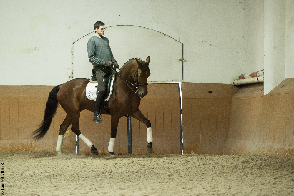 Herdade do Pinheiro 20191112-1147