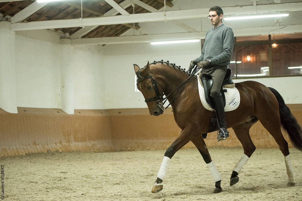 Herdade do Pinheiro 20191112-1162