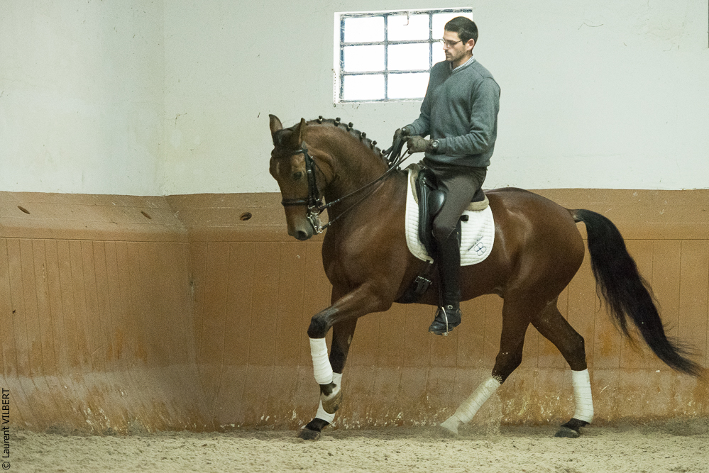 Herdade do Pinheiro 20191112-1165