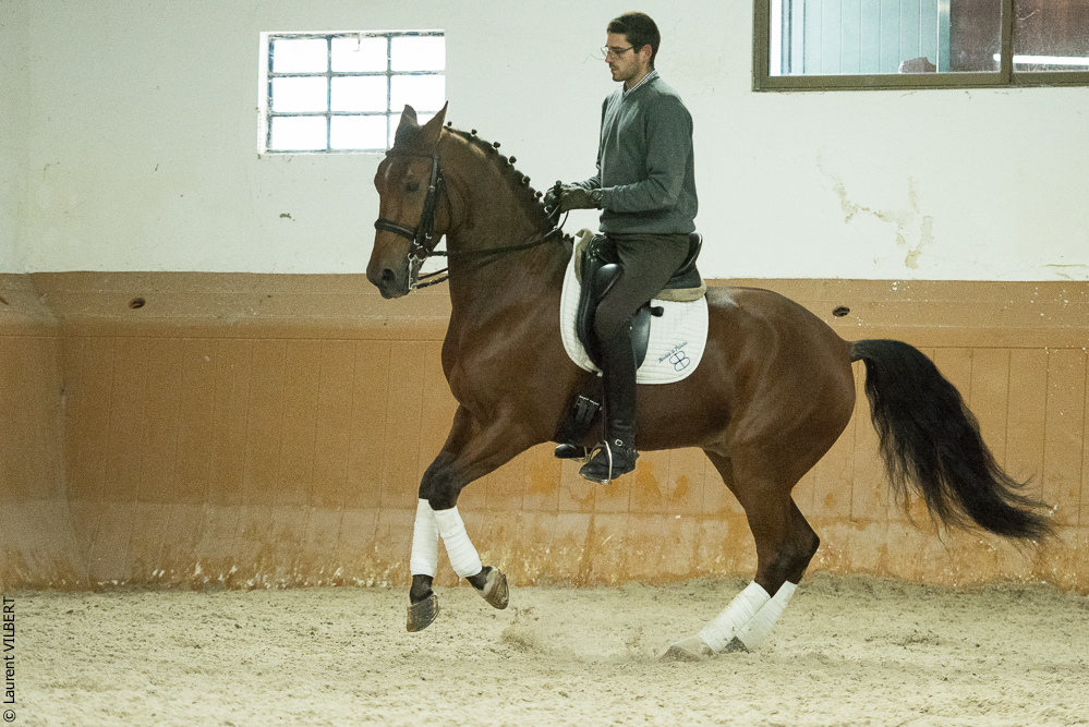 Herdade do Pinheiro 20191112-1194