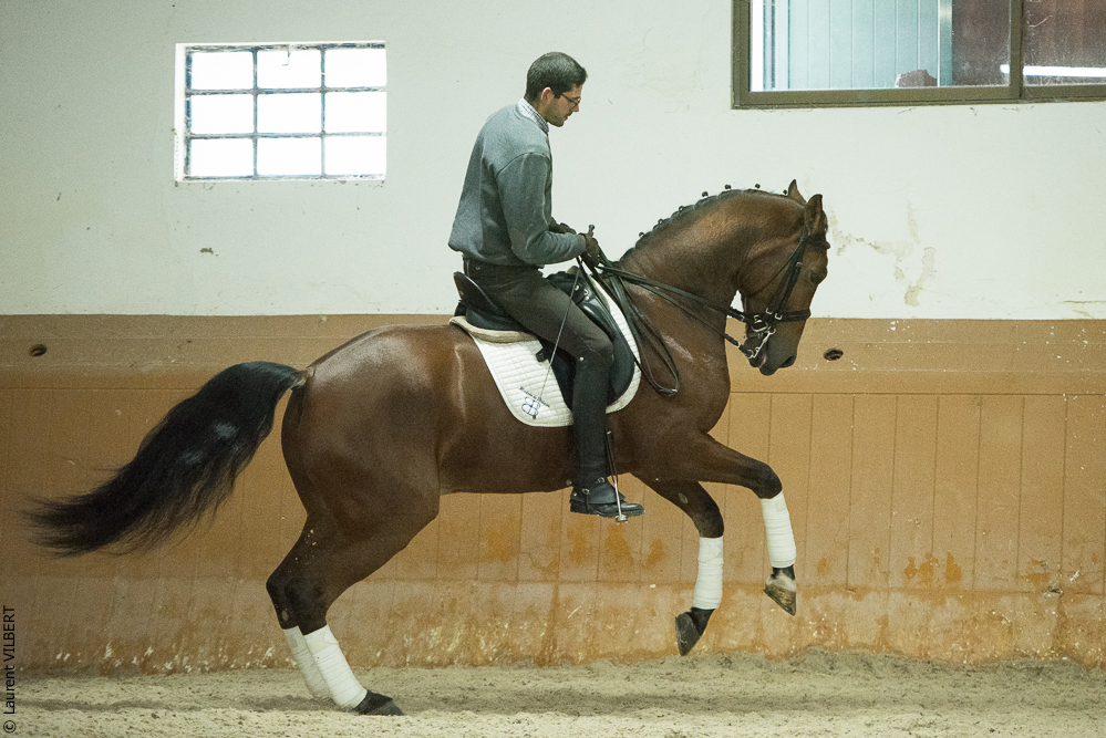 Herdade do Pinheiro 20191112-1205