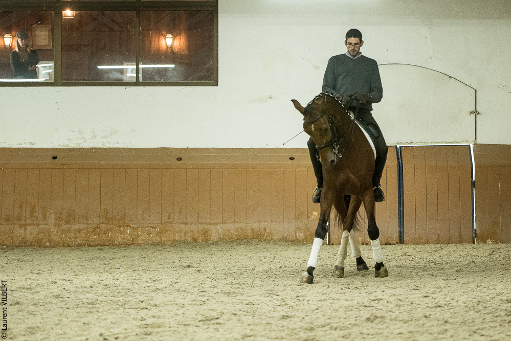 Herdade do Pinheiro 20191112-1333