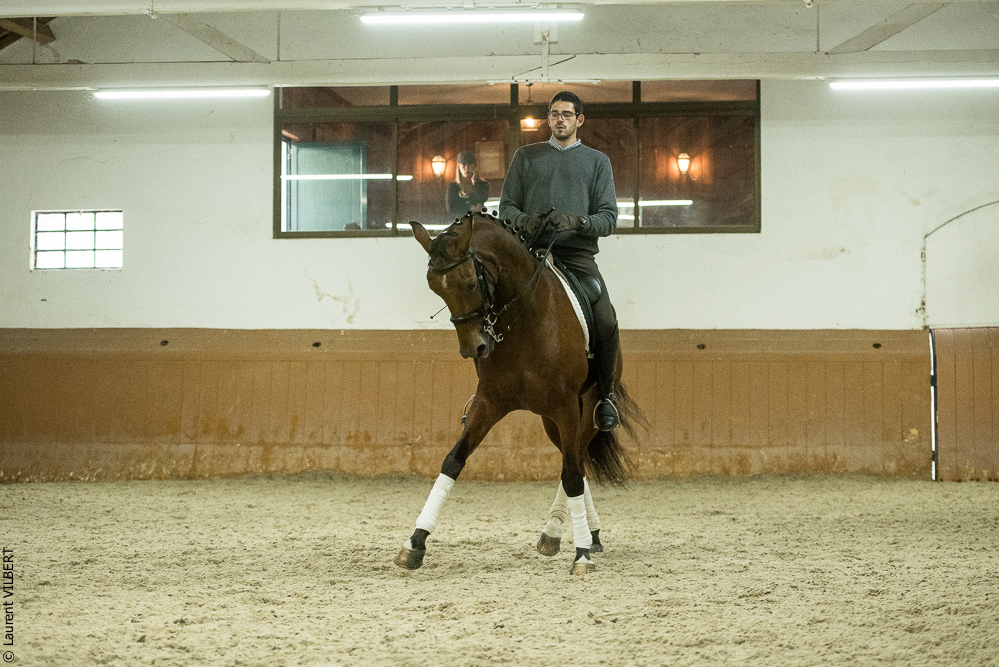 Herdade do Pinheiro 20191112-1337