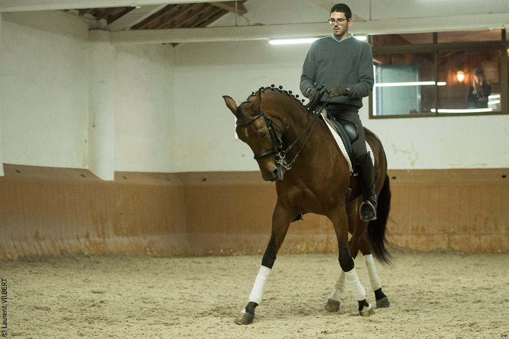 Herdade do Pinheiro 20191112-1339