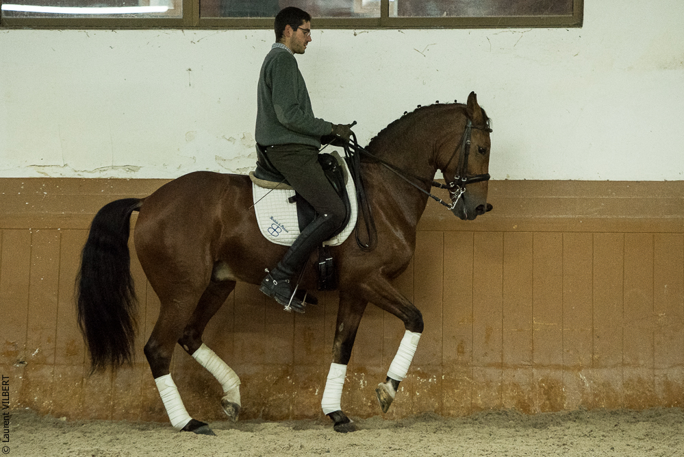 Herdade do Pinheiro 20191112-1397