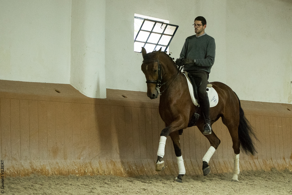 Herdade do Pinheiro 20191112-1446