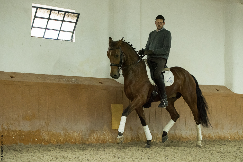 Herdade do Pinheiro 20191112-1450