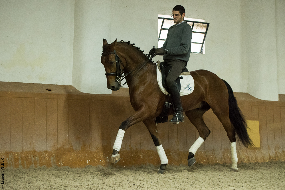 Herdade do Pinheiro 20191112-1452