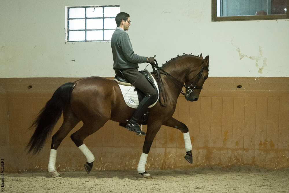 Herdade do Pinheiro 20191112-1454