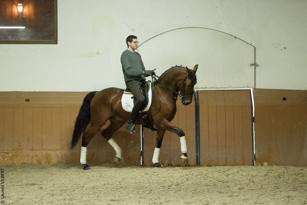 Herdade do Pinheiro 20191112-1462