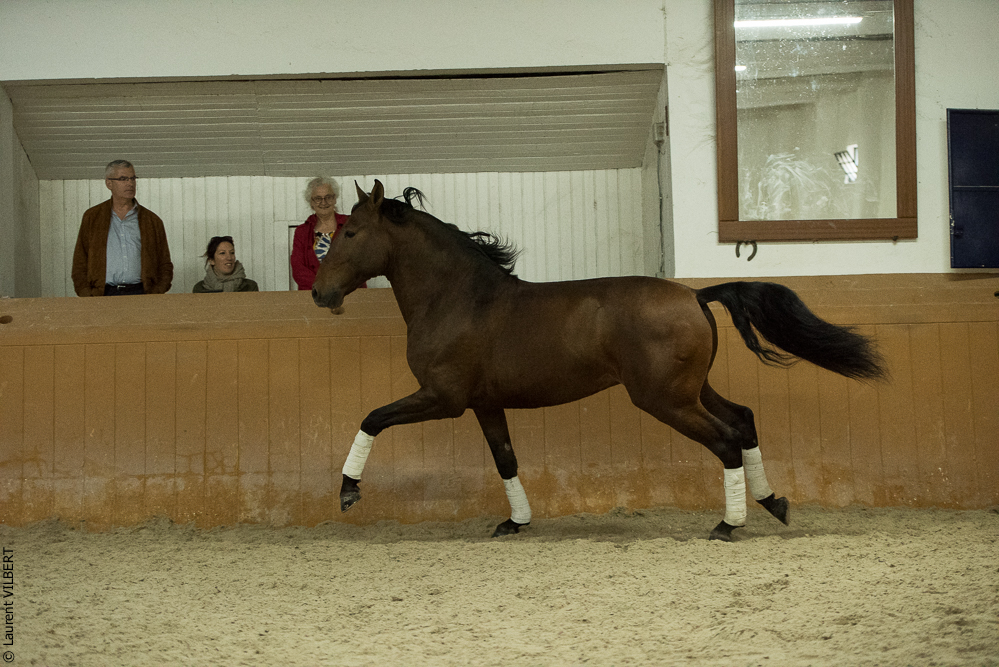 Herdade do Pinheiro 20191112-1569