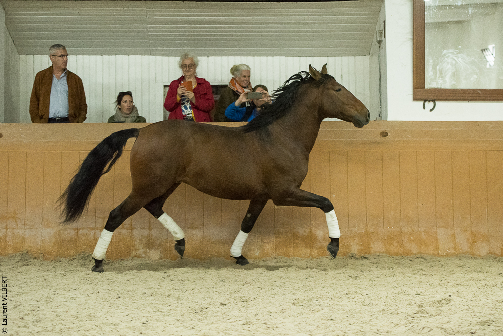 Herdade do Pinheiro 20191112-1637