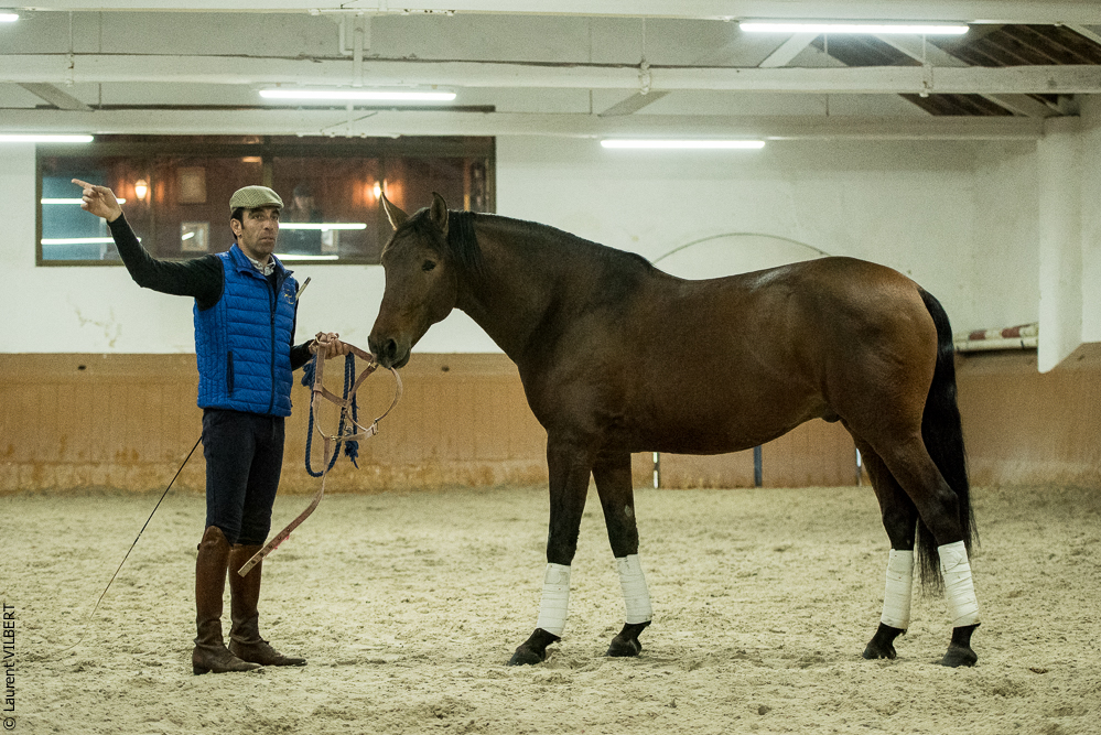 Herdade do Pinheiro 20191112-1741