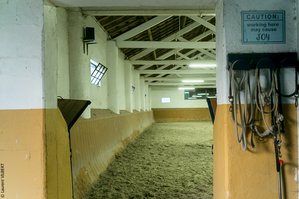 Herdade do Pinheiro 20191112-1750