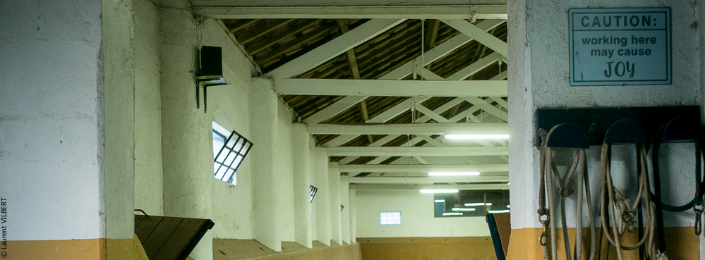 Herdade do Pinheiro 20191112-1750