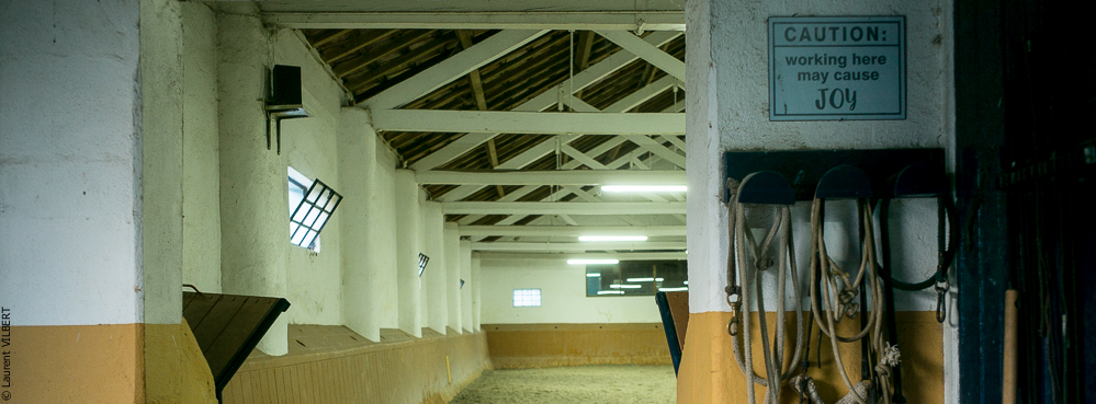 Herdade do Pinheiro 20191112-1750