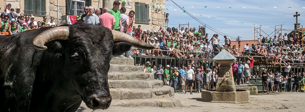 Alfaïates 20150817-107