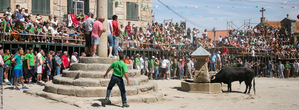 Alfaïates 20150817-146