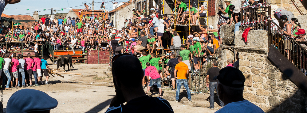 Alfaïates 20150817-422