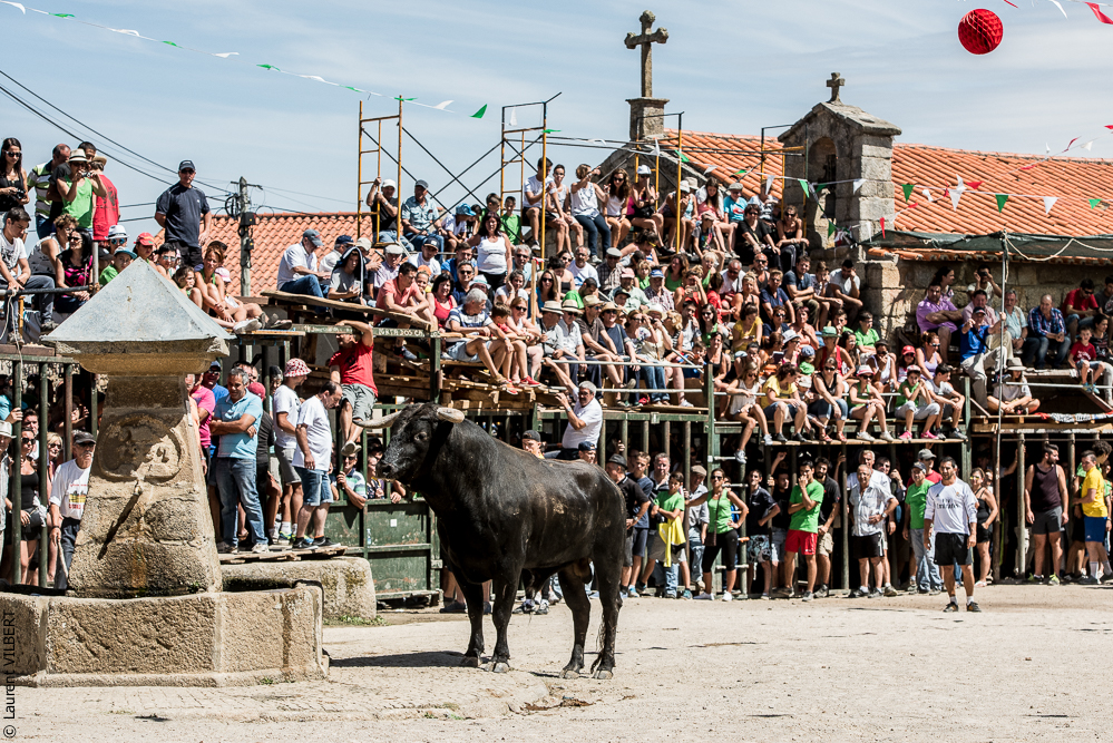 Alfaïates 20160817-749