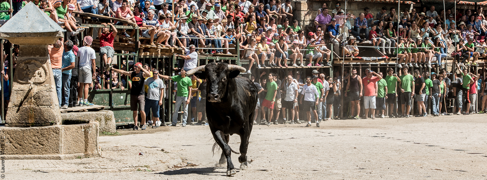 Alfaïates 20160817-762