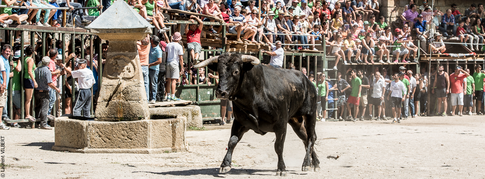 Alfaïates 20160817-764