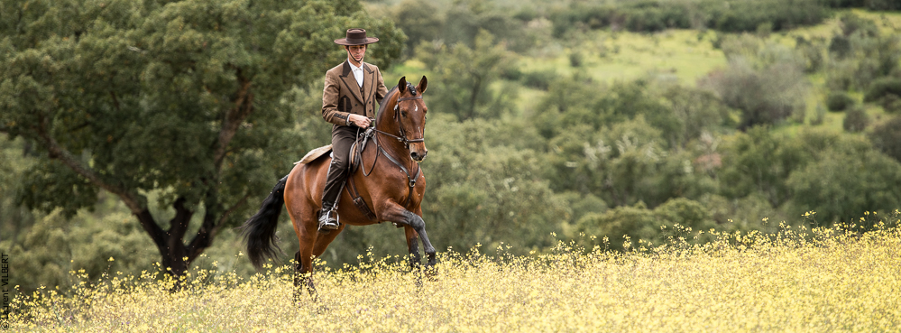 Antonio 20130323-0158