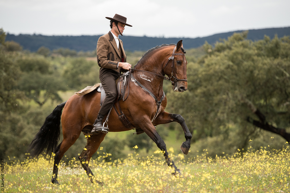 Antonio 20130323-0271