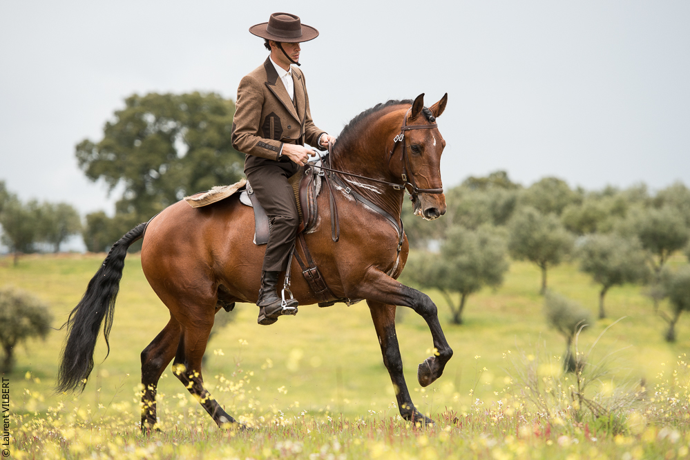 Antonio 20130323-0288