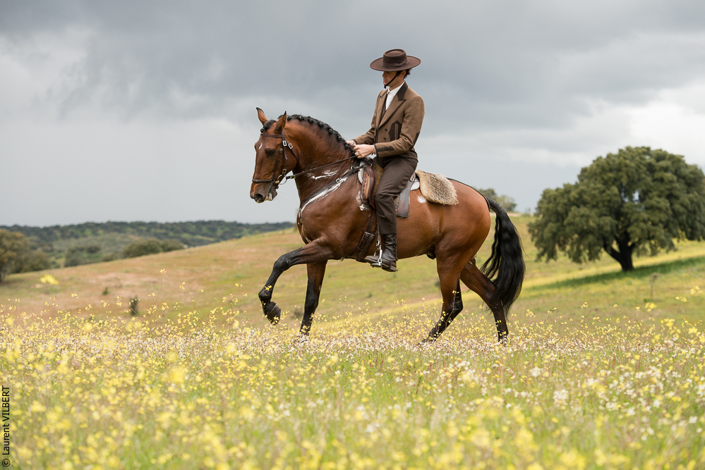 Antonio 20130323-0340