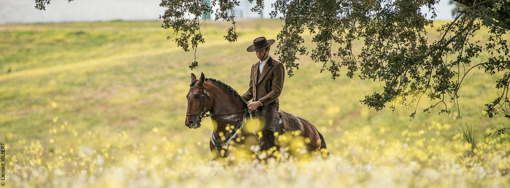 Antonio 20130323-0394