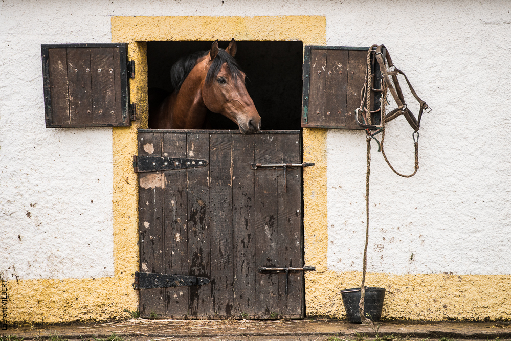 Antonio 20130323-0588