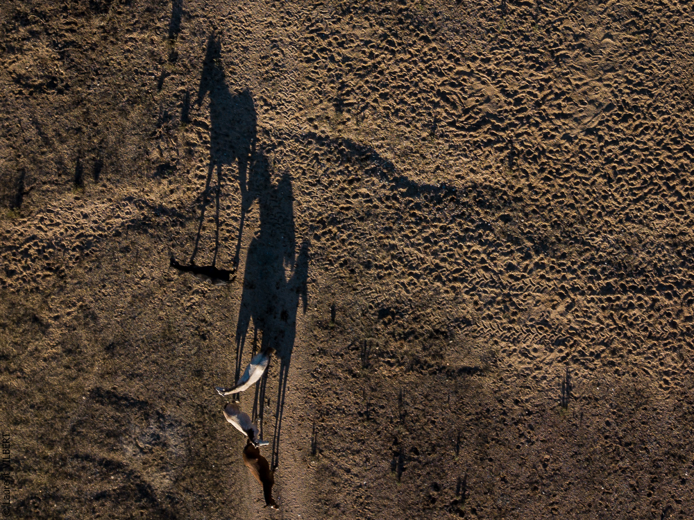 Antonio 20171108-085