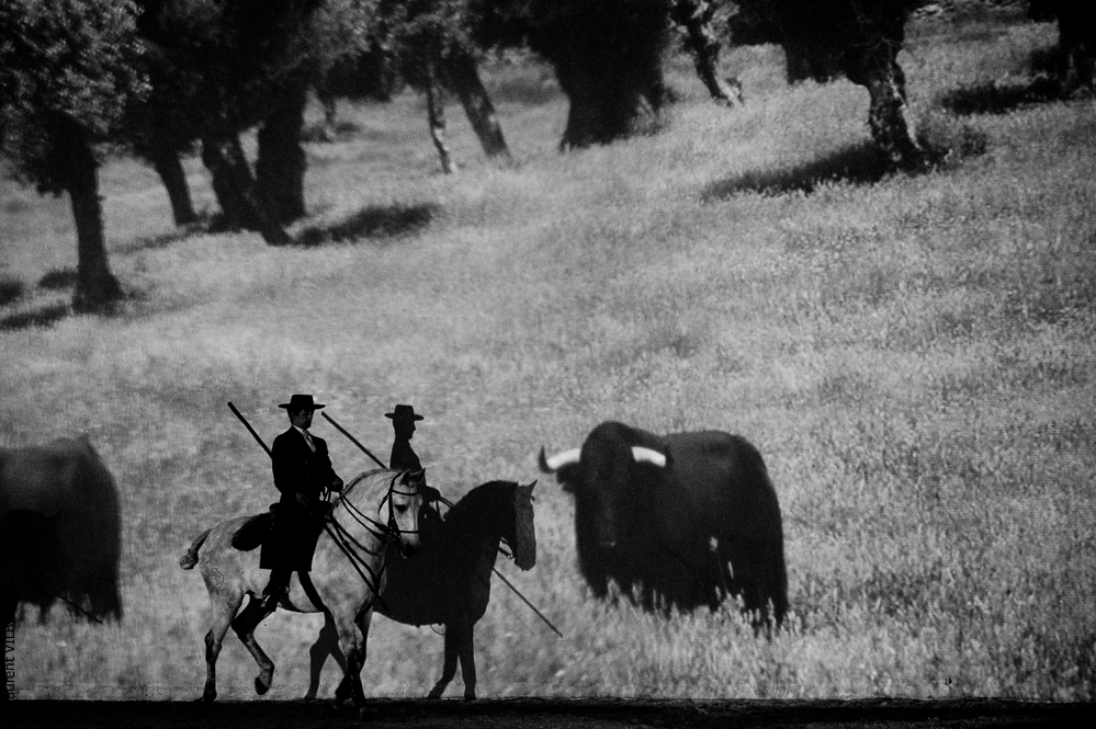 Avignon 20100115-2132